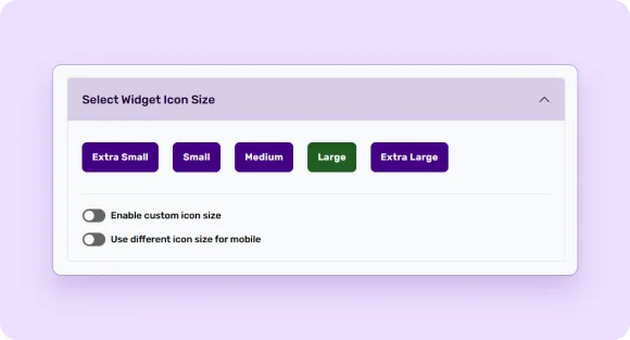 settings page featuring options related to the icon size, including customization and preferences