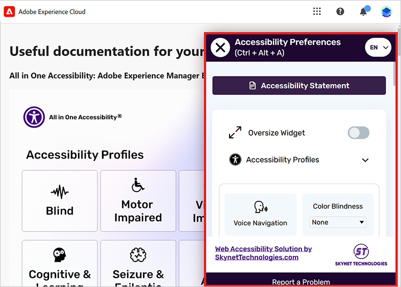 adobe-experience-manager ada web accessibility