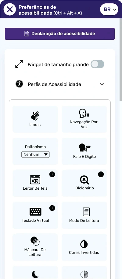 Brazil Portuguese website ADA solution