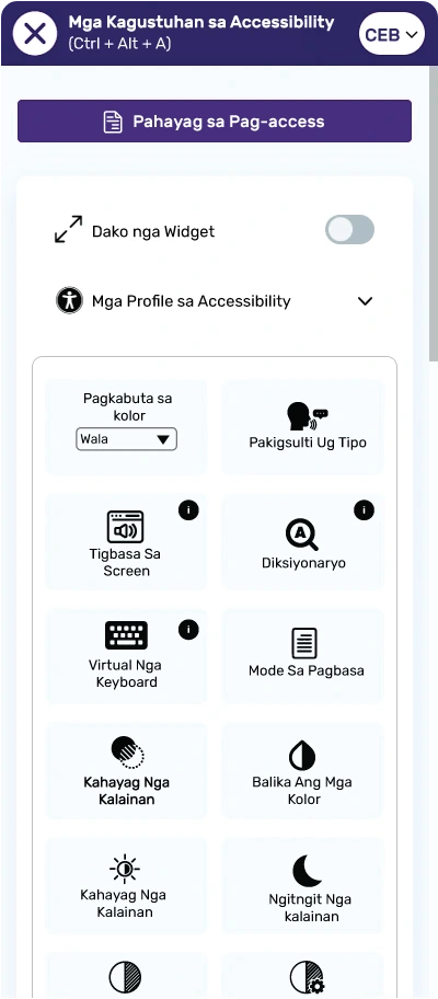 All in One Accessibility Features Preview