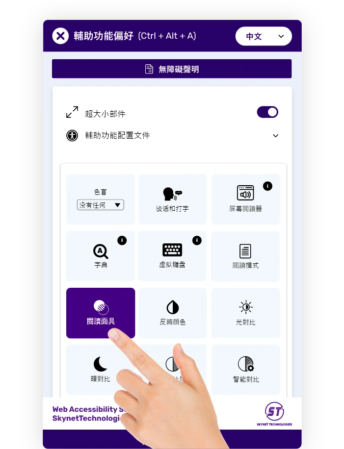 Chinese website accessibility solution