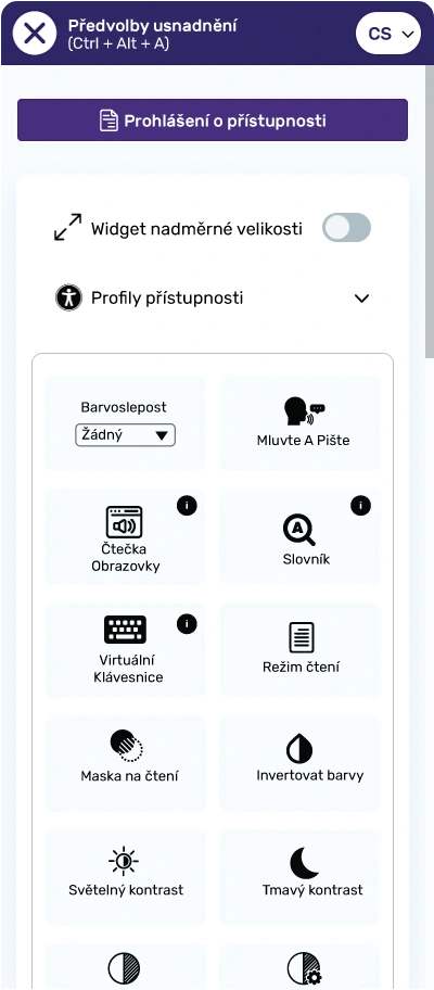 czech website accessibility widget