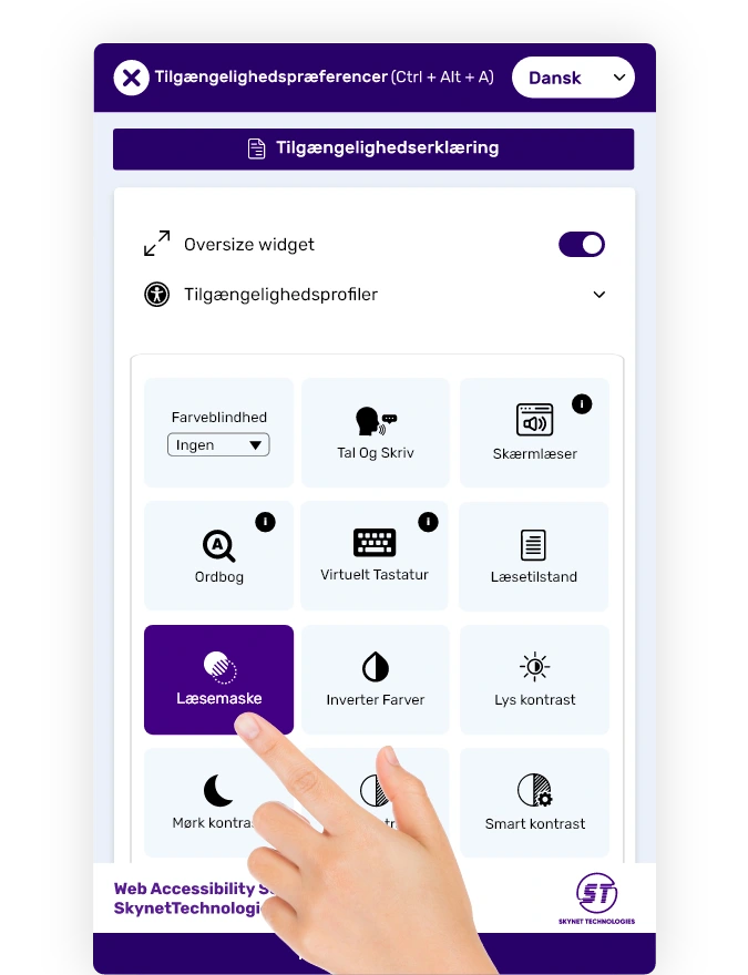 Danish website accessibility solution
