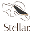 stellar theme logo