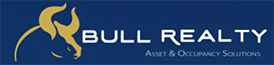 bullreality theme logo