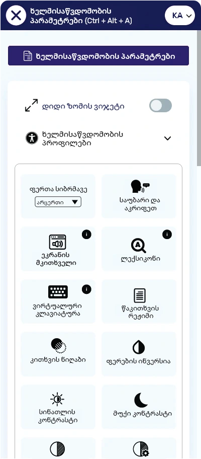 georgian accessibilitytoolbar