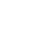 choi theme logo