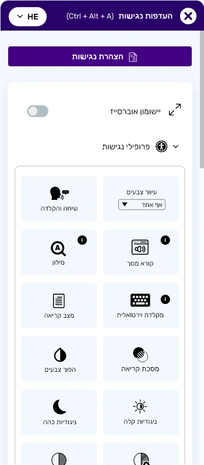 hebrew website accessibility widget