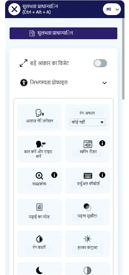 hindi website accessibility widget