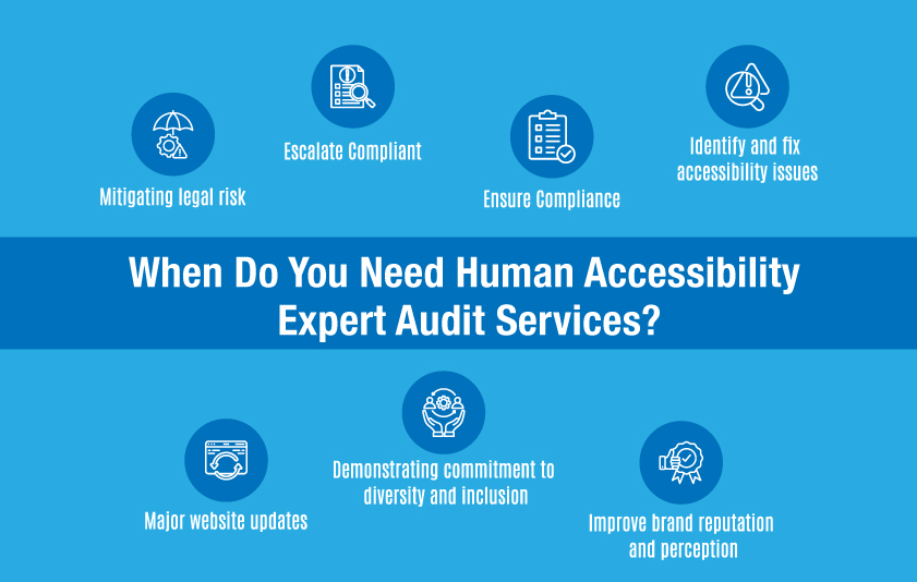 human accessibility audit