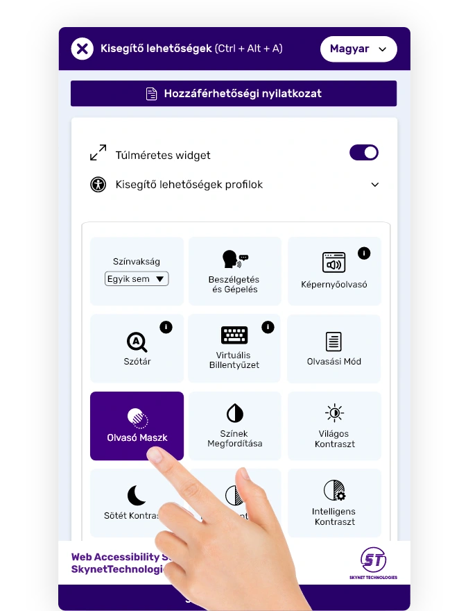 Hungarian website accessibility solution