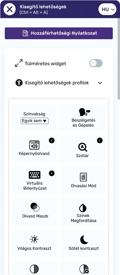 hungarian website accessibility widget