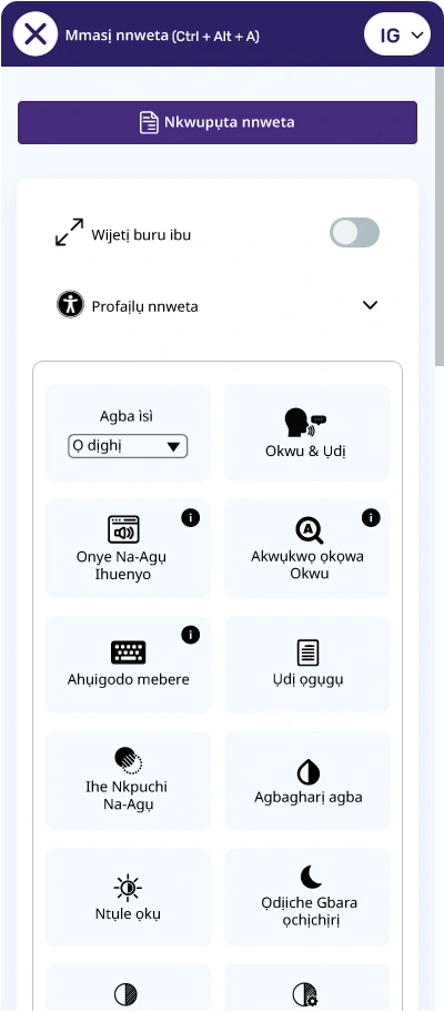 igbo accessibility toolbar