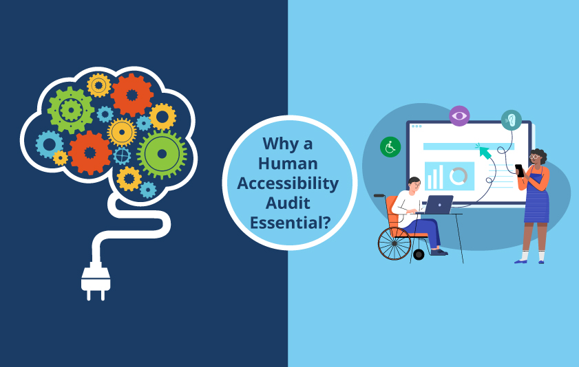 importance of humana accessibility expert audit