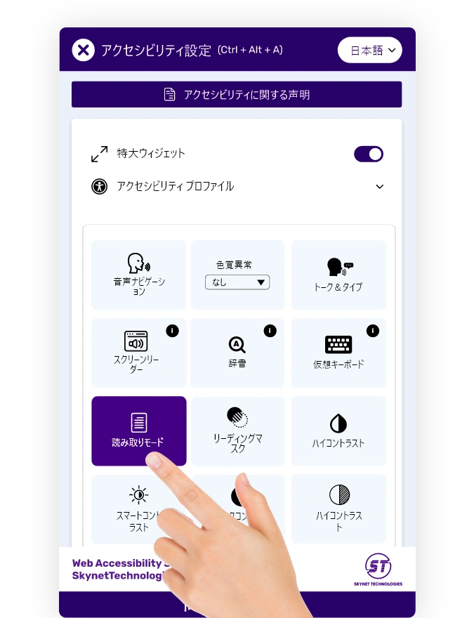 Japanese website accessibility solution