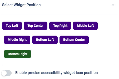 website accessibility widget icon