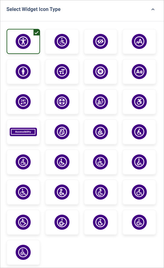 website accessibility widget icon Type