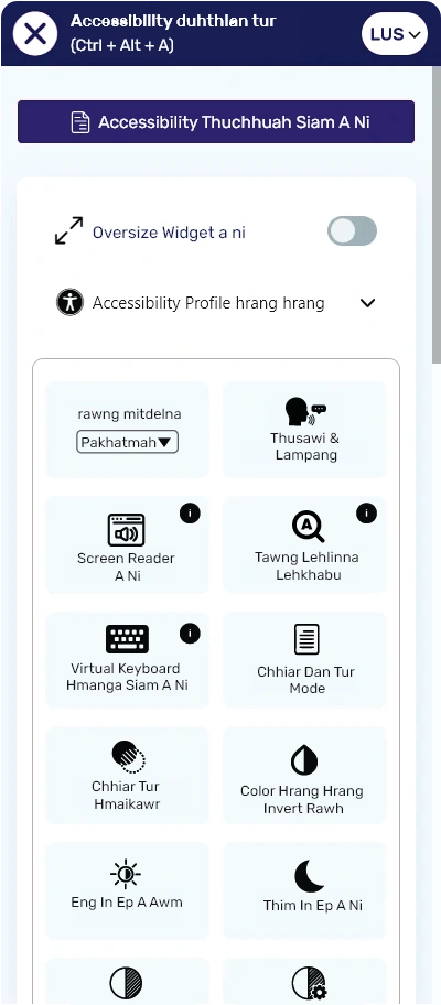 mizo accessibility toolbar