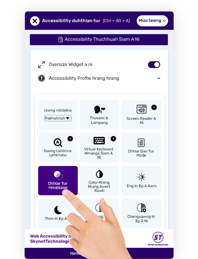 mizo accessibility widget.webp