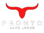 pronto auto locks theme logo