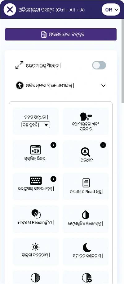 odia website accessibility widget