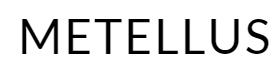 metellus theme logo