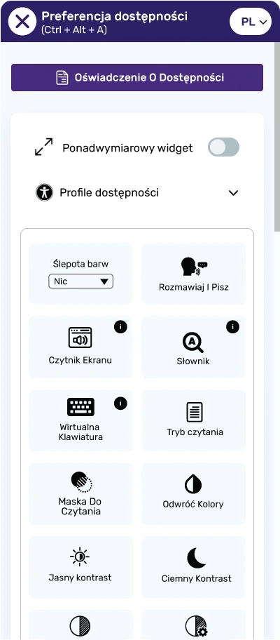 Polish website accessibility widget