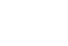 precision theme logo