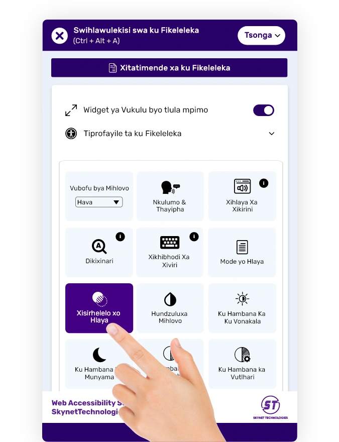 tsonga accessibility widget.webp