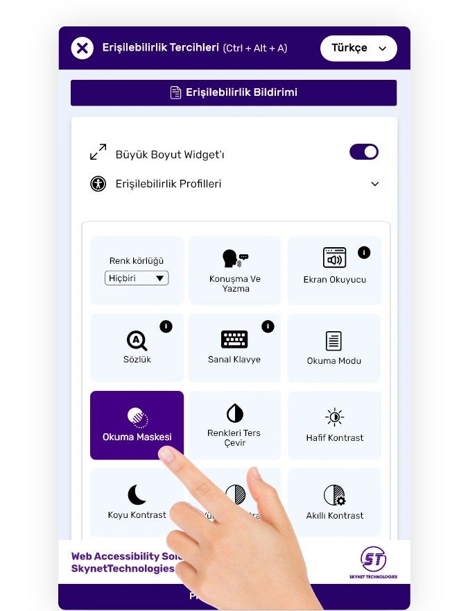 Turkish website accessibility solution