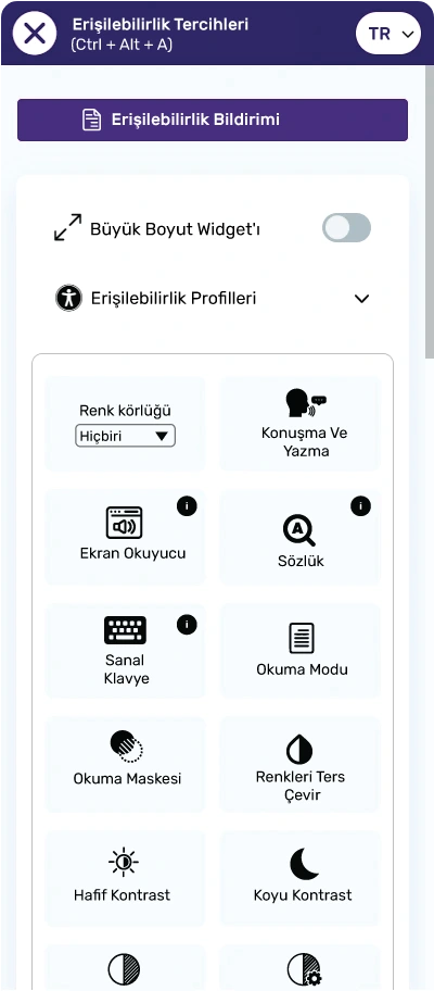 turkish website accessibility widget