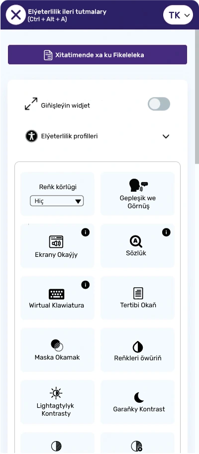 turkmen accessibility toolbar