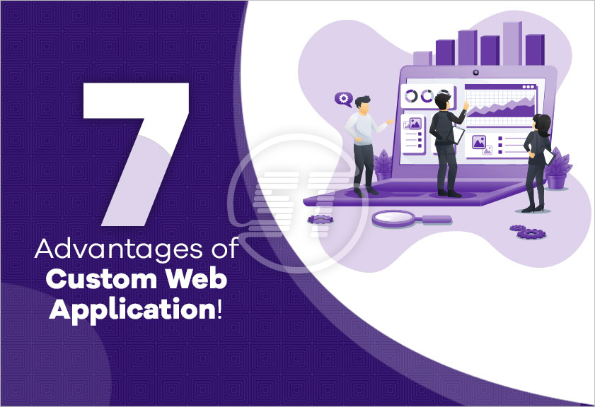What is web application software? Advantages and Disadvantages